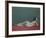 Nude Stretched Out on a Piece of Cloth, 1909-Félix Vallotton-Framed Giclee Print