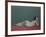 Nude Stretched Out on a Piece of Cloth, 1909-Félix Vallotton-Framed Giclee Print