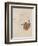 Nude with Blue Stockings, Bending Forward, 1912-Egon Schiele-Framed Giclee Print