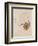 Nude with Blue Stockings, Bending Forward, 1912-Egon Schiele-Framed Giclee Print