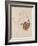 Nude with Blue Stockings, Bending Forward, 1912-Egon Schiele-Framed Giclee Print