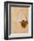 Nude with Blue Stockings Bending Forward, c.1912-Egon Schiele-Framed Art Print