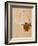 Nude with Blue Stockings Bending Forward, c.1912-Egon Schiele-Framed Art Print