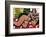 Nude With Palms, 1936-Henri Matisse-Framed Art Print