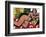 Nude With Palms, 1936-Henri Matisse-Framed Art Print