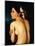 Nude Woman Displaying her Back, 1807-Jean-Auguste-Dominique Ingres-Mounted Giclee Print