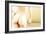 Nude Woman's Buttocks, Computer Artwork-Christian Darkin-Framed Photographic Print