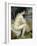 Nude Woman Seated in a Landscape-Pierre-Auguste Renoir-Framed Giclee Print