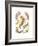 Nudibranchia, 1899-1904-null-Framed Giclee Print