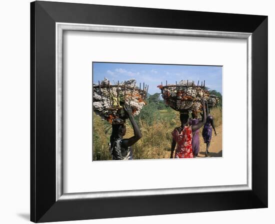 Nuer Women Carrying Sorghum, Gambella Region, Ilubador State, Ethiopia, Africa-Bruno Barbier-Framed Photographic Print