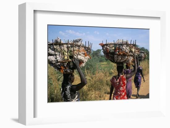 Nuer Women Carrying Sorghum, Gambella Region, Ilubador State, Ethiopia, Africa-Bruno Barbier-Framed Photographic Print