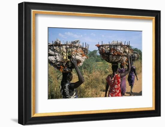 Nuer Women Carrying Sorghum, Gambella Region, Ilubador State, Ethiopia, Africa-Bruno Barbier-Framed Photographic Print