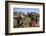 Nuer Women Carrying Sorghum, Gambella Region, Ilubador State, Ethiopia, Africa-Bruno Barbier-Framed Photographic Print