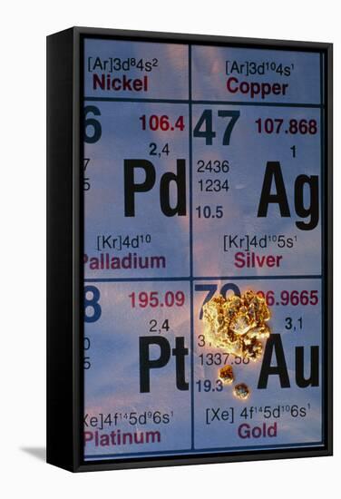 Nuggets of Gold on Periodic Table-David Nunuk-Framed Premier Image Canvas