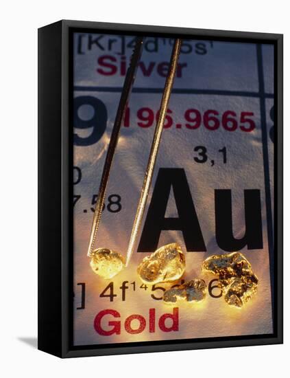 Nuggets of Gold on Periodic Table-David Nunuk-Framed Premier Image Canvas