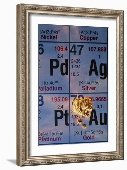 Nuggets of Gold on Periodic Table-David Nunuk-Framed Photographic Print