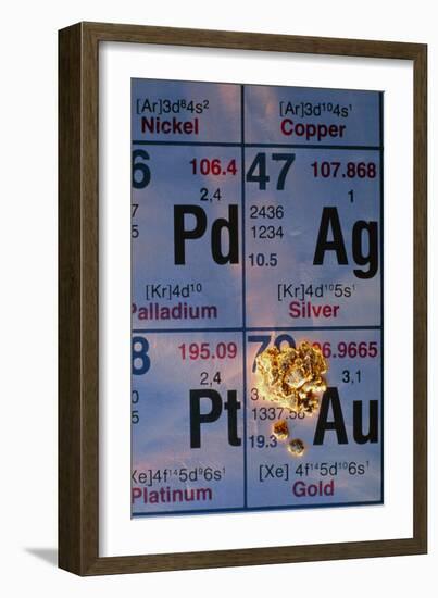 Nuggets of Gold on Periodic Table-David Nunuk-Framed Photographic Print