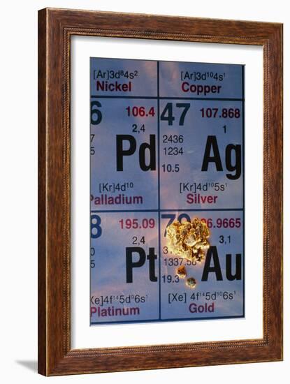 Nuggets of Gold on Periodic Table-David Nunuk-Framed Photographic Print