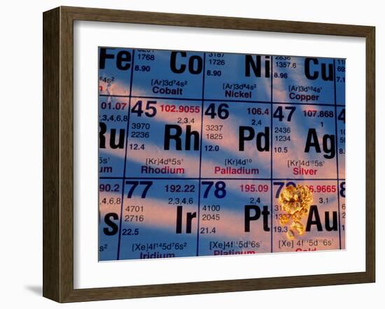 Nuggets of Gold on Periodic Table-David Nunuk-Framed Photographic Print