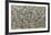 Number 1, 1949, 1949-Jackson Pollock-Framed Art Print