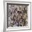 Number 18, 1950-Jackson Pollock-Framed Art Print