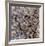 Number 18, 1950-Jackson Pollock-Framed Art Print