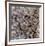 Number 18, 1950-Jackson Pollock-Framed Art Print