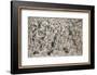 Number 28, 1950-Jackson Pollock-Framed Art Print