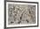 Number 28, 1950-Jackson Pollock-Framed Art Print