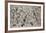 Number 28, 1950-Jackson Pollock-Framed Art Print