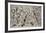 Number 28, 1950-Jackson Pollock-Framed Art Print