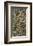 Number 3, 1949: Tiger, 1949-Jackson Pollock-Framed Art Print