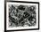 Number 33-1949-Jackson Pollock-Framed Serigraph