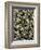 Number 5, 1950, 1950-Jackson Pollock-Framed Art Print