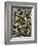 Number 5, 1950, 1950-Jackson Pollock-Framed Art Print