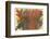 Number 99, 1959-1960-Morris Louis-Framed Art Print