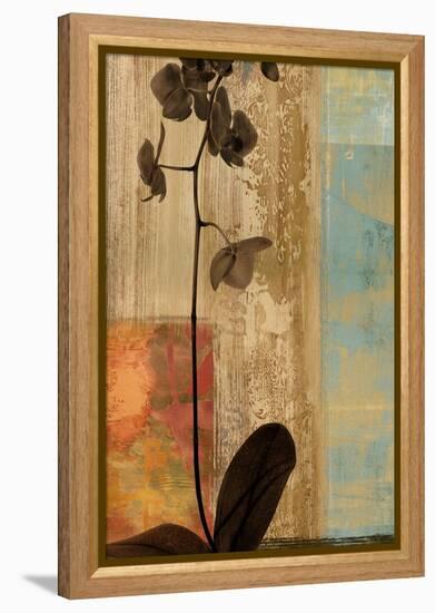 Numinous I-Chris Donovan-Framed Stretched Canvas