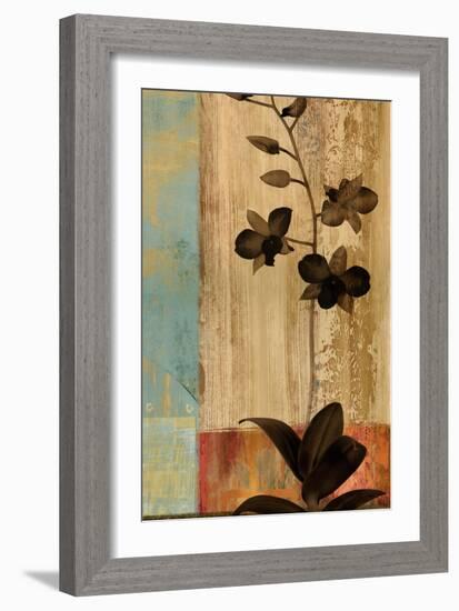 Numinous II-Chris Donovan-Framed Art Print