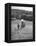 Nun Taking Two Young Children from the Mission on a Walk-null-Framed Premier Image Canvas