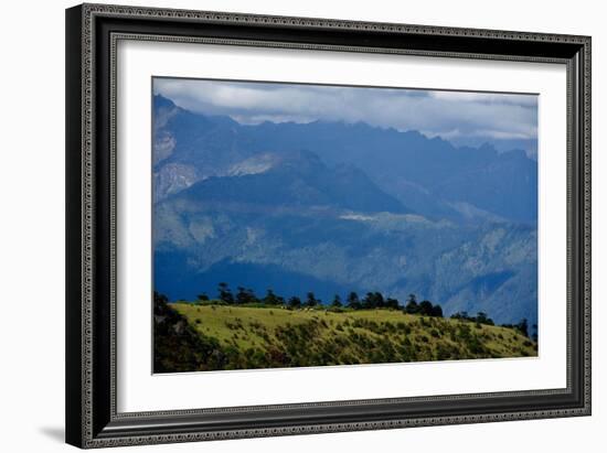 Nuns Gather Juniper from the High Mountains In, Bhutan (Photo)-null-Framed Giclee Print