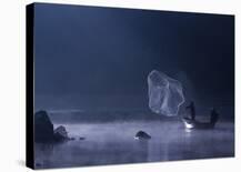 Capture The Light-Nunu Rizani-Stretched Canvas