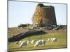 Nuraghe Succurronis, Macomer, Sardinia, Italy, Europe-Oliviero Olivieri-Mounted Photographic Print