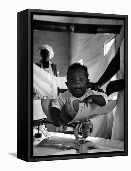 Nurse-Midwife Maude Callen Weighing Baby on Scale-W^ Eugene Smith-Framed Premier Image Canvas