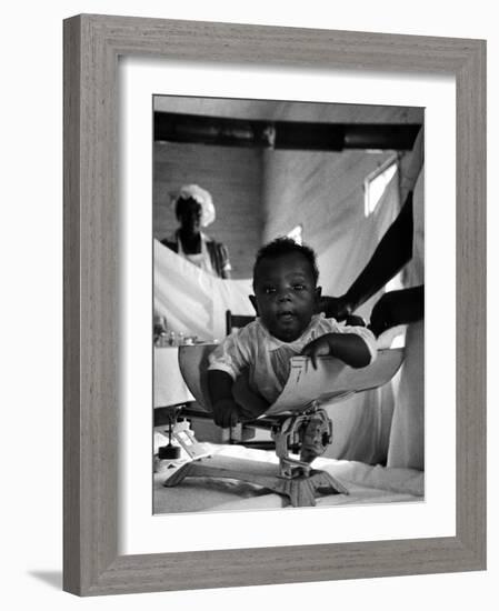 Nurse-Midwife Maude Callen Weighing Baby on Scale-W^ Eugene Smith-Framed Photographic Print