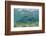 Nurse Shark and Horse-Eye Jacks, Shark Ray Alley, Hol Chan Marine Reserve, Belize-Pete Oxford-Framed Photographic Print