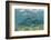 Nurse Shark and Horse-Eye Jacks, Shark Ray Alley, Hol Chan Marine Reserve, Belize-Pete Oxford-Framed Photographic Print