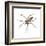 Nursery Web Spider (Pisaurina Mira), Arachnids-Encyclopaedia Britannica-Framed Art Print