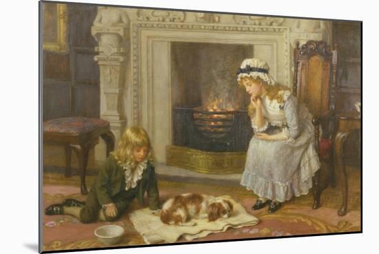 Nursing a Treasured Pet-Charles Haigh-Wood-Mounted Giclee Print