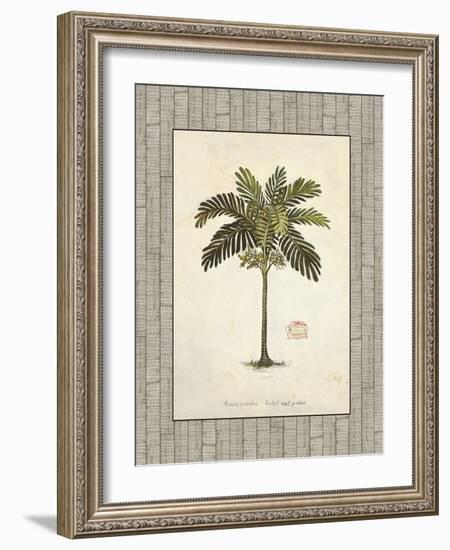 Nut Palm Illustration-Arnie Fisk-Framed Art Print