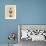 Nutcracker VII-Debbie McMaster-Framed Giclee Print displayed on a wall